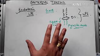 Bacterial toxin ।। Endotoxin in hindi [upl. by Knobloch]