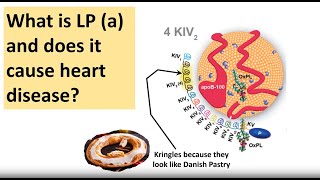 LPa lipoprotein a more info Drs Sloop amp Nader Ali [upl. by Oinegue]