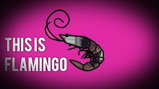 Mashup This Is Flamingo Childish GambinoKero Kero Bonito [upl. by Immac]