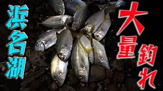 浜名湖で旬のあいつを釣りに行ったら大変すぎた [upl. by Bijan]