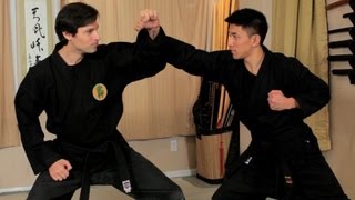 How to Do the Jodan Uke  Ninjutsu Lessons [upl. by Amalea]