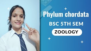 phylum chordata  Zoology  Bsc 5th sem  2024 batch 🐸🦎🐦 [upl. by Shamus532]