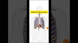 Skeletal system class 9 ICSEviralyttrendingshortsbiology [upl. by Adnorrahs]