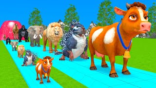 Paint amp Animals CowGorrilaElephantSheepDeerTiger Fountain Crossing Transformation Cartoon [upl. by Maure]