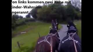 2 Shires vor der Kutsche gehen durch  bolting Clydesdales [upl. by Lanevuj]