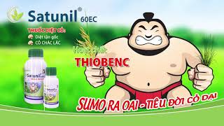 Trừ cỏ hậu nảy mầm  SATUNIL 60EC  Summit Agro [upl. by Ahsemat]