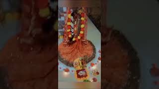 Tulsi vivah decoration tulsiVivah love song viralshorts [upl. by Aicilat694]