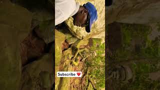 I explored The sunshine State that has different Mountains ⛰️❤️🎥 explore travel travelvlog [upl. by Iramat902]