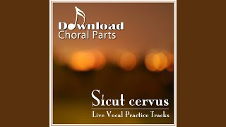 Sicut cervus  Bass Emphasized [upl. by Leidag432]