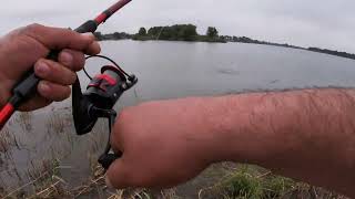 whopper plopper bass fishing [upl. by Drofla961]