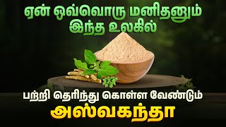 Ashwagandha அஸ்வகந்தாவின் 8 பயனுள்ள நன்மைகள்  Ashwagandha Benefits for Men in Tamil [upl. by Desireah]