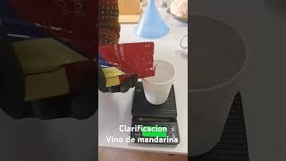 Proceso de clarificacion vino de mandarina [upl. by Lynsey826]