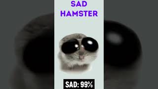 Sad hamster gets even sadder [upl. by Nepean]