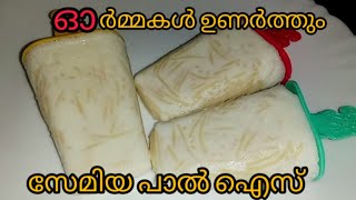 സേമിയ പാൽ ഐസ്  Semiya Paal Ice Recipe in malayalam  Malayalam Recipes [upl. by Anibas]