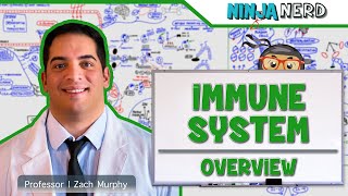 Immunology  Immune System Overview [upl. by Waddle]