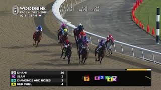 Woodbine October 26 2018 Race 4 [upl. by Bradan275]