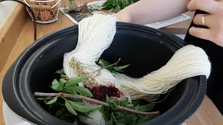 Natural Hand Dyed Yarn using Plants  Allinone Dye Bath Method using a CrockpotSlow Cooker [upl. by Buehler]