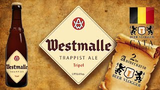 Cerveza WESTMALLE Trappist Tripel 🍷 CATA amp Historia [upl. by Laurent]