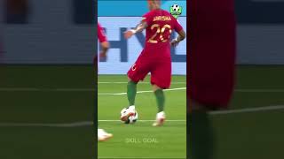 BEST GOAL 003  Ricardo Quaresma Trivela goals football soccer [upl. by Llenrap]