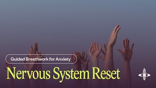 Nervous System Reset  Guided Breathwork 22 minutes [upl. by Hameerak]