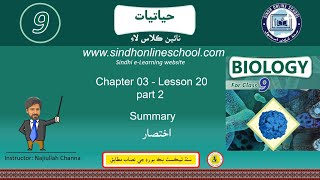 Summary Part2 Biology Class 9 Chapter 3 Lecture 20 Part2  Sindh Online School [upl. by Britton342]