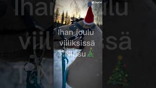 Joulu viiliksissä🎄🤪 foryou hobbyhorse [upl. by Nytsyrk]