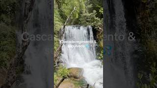 Cascadas en San Martín de Los Andes unmatambritodeviaje sanmartindelosandes ypfッ cascada [upl. by Yacano]