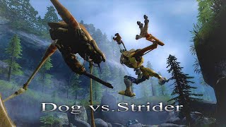 Dog vs Strider  HλLFLIFE 2  PC 60ᶠᵖˢ [upl. by Mcadams]