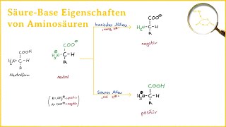 Säure Base Eigenschaften von Aminosäuren [upl. by Rayna]