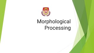 Morphological Processing [upl. by Sanborn]