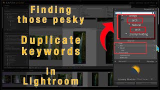 ‼️ A new way to find Duplicate Keywords in Lightroom ‼️ [upl. by Anele747]