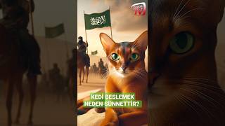 KEDİ BESLEMEK NEDEN SÜNNETTİR [upl. by Kenric]