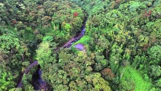 Phantom 3 Hakalau Valley Big Island HI [upl. by Euqnimod363]