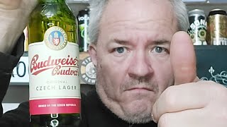 Budweiser Budvar Czech Lager Review [upl. by Lorien]