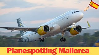 🔴Live Mallorca Planespotting Airport PMI☀️ Runway 24R 🛫 [upl. by Ynnav46]