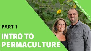 Introduction to Permaculture  Part 1 [upl. by Ilan]