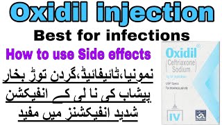 oxidil injection used for in urdu Ceftriaxone injectionOxidil injection side effectsDose [upl. by Lowndes268]