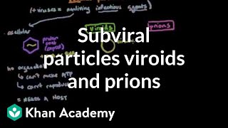 Subviral particles viroids and prions  Cells  MCAT  Khan Academy [upl. by Novj]