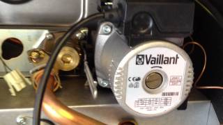 Vaillant Ecotec boiler variable speed pump knocking sound  Vaillant boiler repair London [upl. by Demb]