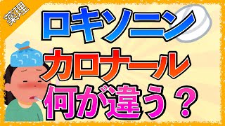 イラストで学ぶ医学！「カロナールとロキソニンの違い」効果作用する仕組み副作用 [upl. by Yruama]