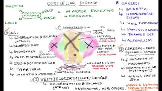 Cerebellar Disease  Cerebellar Lesions [upl. by Janiuszck607]