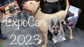 ExpoCan 2023  GUUAAA Ciudad de México  Razas de perros increíbles entérate [upl. by Oile232]