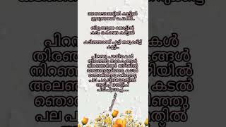 Habeebi drip song lyrics Nivin pauly ribin richard dabzee Malayalamlyrics [upl. by Marylou20]