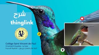 thinglink شرح [upl. by Trbor]