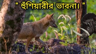 হুঁশিয়ারীর ভাবনা  BANGLA NITI KOTHHA  AMI PATTONTANK BOLCHHI [upl. by Houlberg]