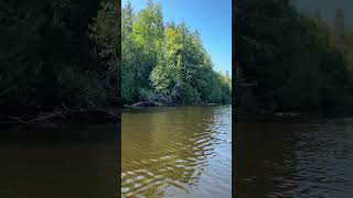 Video of Lower Falls Campground — Tahquamenon Falls State Park MI from Wailym C [upl. by Erot]