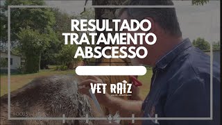 Resultado Tratamento Abscesso [upl. by Aidaas]