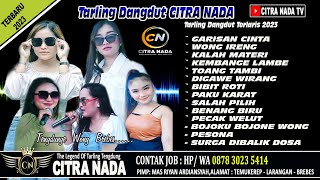 TARLING DANGDUT CITRA NADA TERBARU 2023 [upl. by Salaidh288]