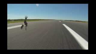 Flying Australia  Near miss at Darwin International Airport [upl. by Hanoy778]