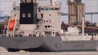 CRISTINA MASAVEUCement Carrier shifting berth from Northfleet to Purfleet 27082023 [upl. by Eidnar344]